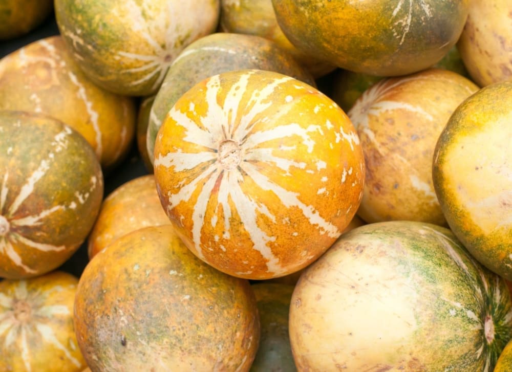 Muskmelon Benefits 101 24 Reasons Why You Should Eat This Fruit